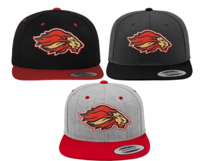 CLASSIC SNAPBACK 2-TONE 6089MT