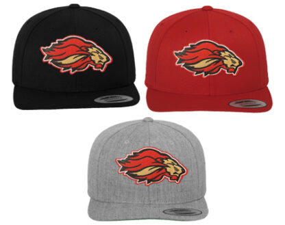 CLASSIC SNAPBACK 6089M