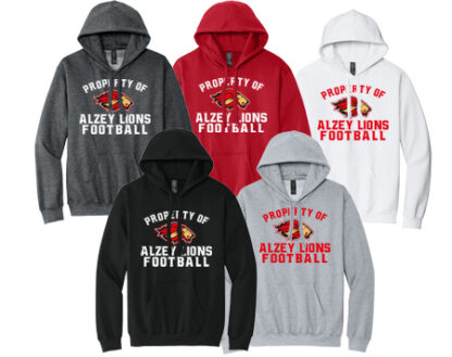 1Softstyle® Midweight Sweat Adult Hoodie SF500 PRO