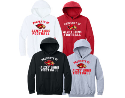 Softstyle®Youth Hoodie SF500B PRO
